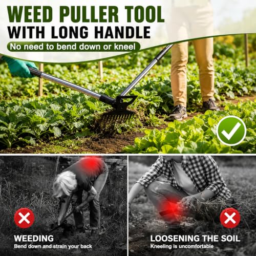 Weed Puller Tool with 61" Long Handle, 2-in-1 Garden Hoe & Weed Rake