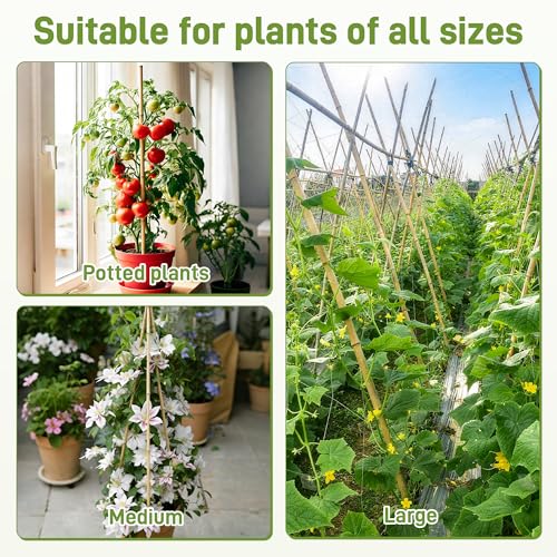 0.32”-0.4"/18Inch Garden Stakes, Natural Bamboo Sticks Plant Stakes for Indoor and Outdoor Plants，Poles for Tomatoes, Beans, Potted Plants(50Pcs)… - size: 18In,Pack of 50