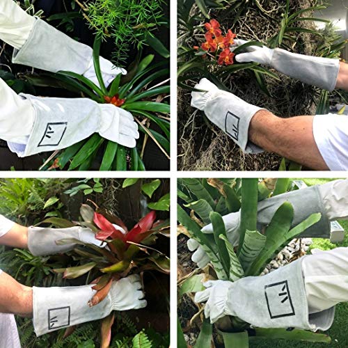ArtAK Rose Pruning Gloves - Long Leather Gauntlet Gardening Gloves for Women, Cut Proof and Thorn Proof for Rose Gardening - White M - size: Medium White