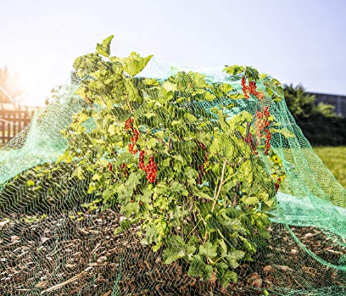 Windhager Rational Bird Protection Net, Pond Net, Leaf Net, Mesh Size 15 mm, Green, 10 x 4 m