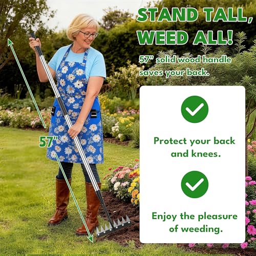 Iron Weeding Rake with Long Handle, 8-Tine Heavy Duty Garden Tool for Lawn - color: Silver