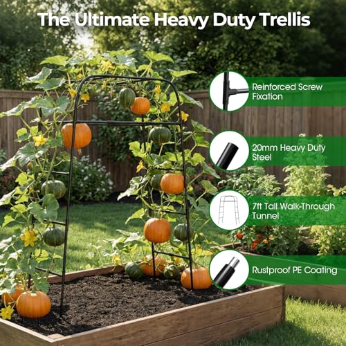 Garden Arch Trellis for Climbing Plants, 83" High Metal Cucumber Trellis & Tomato Cage, Rustproof Steel Tunnel Support for Squash, Pumpkin, Vegetables with Screw Fixation (32.3" L x 39.4" W) - style: 83" High x 32" Long (2-Arch)