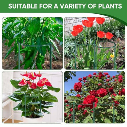 8 Pack 32 or 16 inch Adjustable Plant Support Stakes, Heavy-Duty Half Round Peony Support, Garden Plant Stakes Cage for Outdoor Plants, Peony, Tomato, Hydrangea, (16In Support +16In Extension Tubes) - size: 10"W x31.8"H