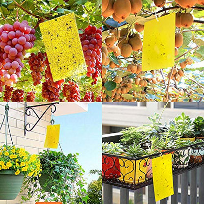 Kensizer 50-Pack Fruit Fly Trap, Yellow Sticky Gnat Traps, 6x8 in - size: 50-Pack