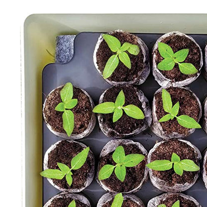 Jiffy Seed Starter Tray Kit, Self-Watering, Seedling Tray, 2 Pack - size: 2 Pack