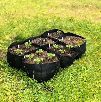 Fabric Raised Garden Bed, Grow Bags to Vegetable Herbs Flowers, 57 Gallon Fabric Plant Pots Indoor Outdoor, 4x2x1ft - size: 4x2x1ft