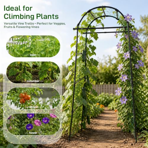 FOLLOOK Garden Arch Trellis for Climbing Plants Outdoor, 6.7ft, Black - size: 31.5" x 31.5" x 78.7"