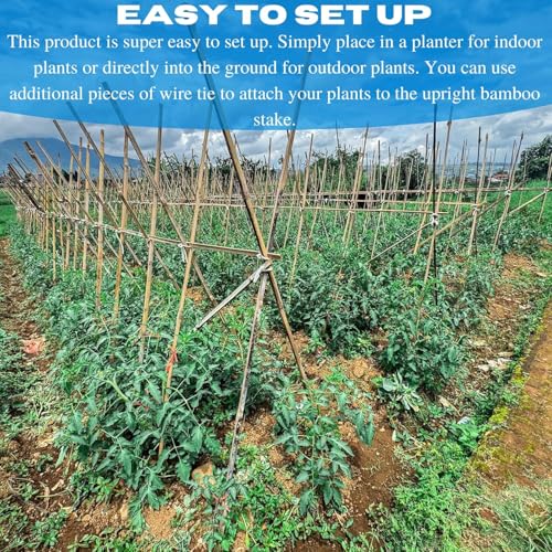 VBS - Bamboo Garden Stakes - Bambo Sticks, Bamboo Plant Stakes for Outdoor Plants, Plant Support Stakes for Indoor Plants (7 Foot - 25 Pack) - size: 7 Foot - 25 Pack