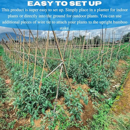 VBS - Bamboo Garden Stakes - Bambo Sticks, Bamboo Plant Stakes for Outdoor Plants, Plant Support Stakes for Indoor Plants (7 Foot - 20 Pack) - size: 7 Foot - 20 Pack