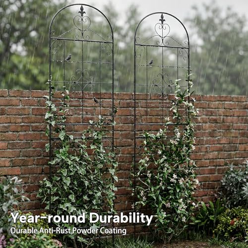 70.8" Black Metal Garden Trellis for Climbing Plants, 2 Pack - color: Black