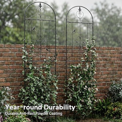 70.8" Black Metal Garden Trellis for Climbing Plants, 2 Pack - color: Black