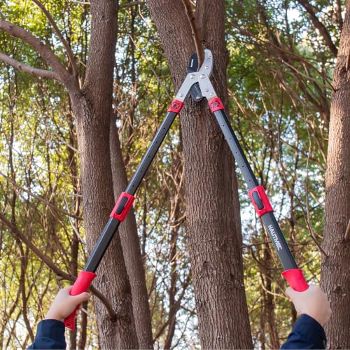 HAUTMEC Pro Loppers Hedge Shears & Pruners Combo Set 3-Piece Garden Pruning Shears Hedge Clippers,Heavy Duty Tree & Shrub Kit for Yard, Lawn & Garden, Professional Branch Cutter Tree Trimmer,HT0462 - color: 3pcs Lopper Set