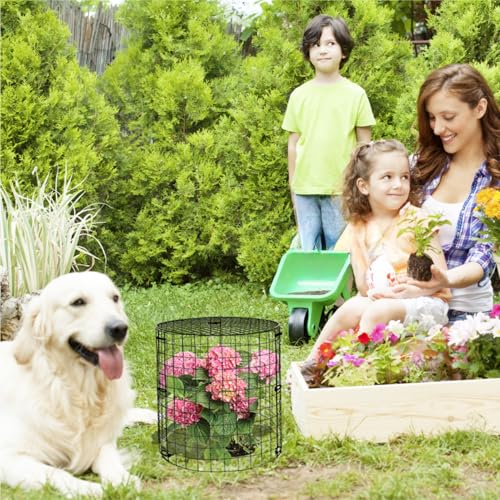 6 Packs Garden Plant Protectors from Animals,Metal Plant Cage, 11.8"x 12.6" - color: Black-6