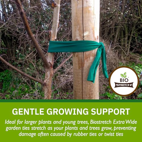 Bio-Stretch Soft Tree Ties & Garden Tape for Young Trees, 8M Green - size: Extra Wide 26 ft / 8M