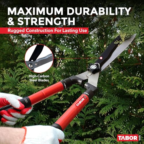 TABOR TOOLS B212A 25″–33″ Telescopic Hedge Shears with Wavy Blade and Extendable Steel Handles. Extendable Manual Hedge Clippers for Trimming Borders, Boxwood, and Tall Bushes. - style: B212A Extendable Hedge Shears