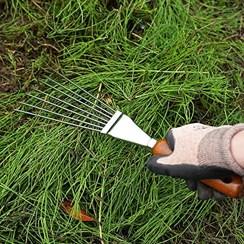 Japanese Hand Rake Garden Tool - Japanese Steel with Wood Handle - Small Rake for Leaves, Handheld Garden Cleaning Tool - Made in Japan - color: Brown Rake