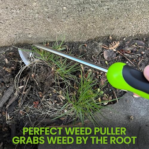 Garden Guru Root Weeder Tool with Ergonomic Handle - Stainless Steel Weed Puller for Planting, Weeding, Flower and Vegetable Care in Lawn Garden Yard | Rust Resistant (4 Pack) - size: 4 Pack, style: Root Weeder