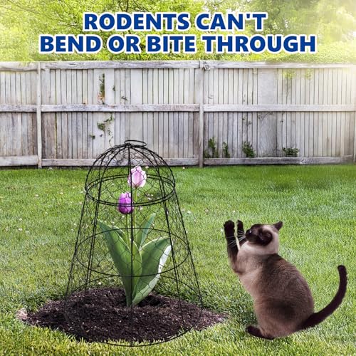 Garden Cloches for Plants - Set of 6 Chicken Wire Plant Cages and Plant Protectors from Animals, 17.7" H x 12.8" D, Outdoor Vegetable and Flower Cages, Sapbontchi Chicken Wire Cloche - size: Set of 6