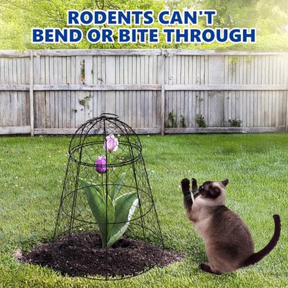Garden Cloches for Plants - Set of 6 Chicken Wire Plant Cages and Plant Protectors from Animals, 17.7" H x 12.8" D, Outdoor Vegetable and Flower Cages, Sapbontchi Chicken Wire Cloche - size: Set of 6