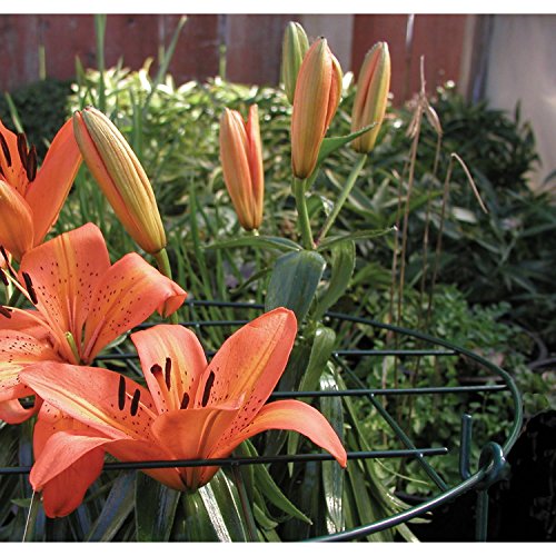 16” Grow Through Grid w/ 24” legs - style: 16” Grid