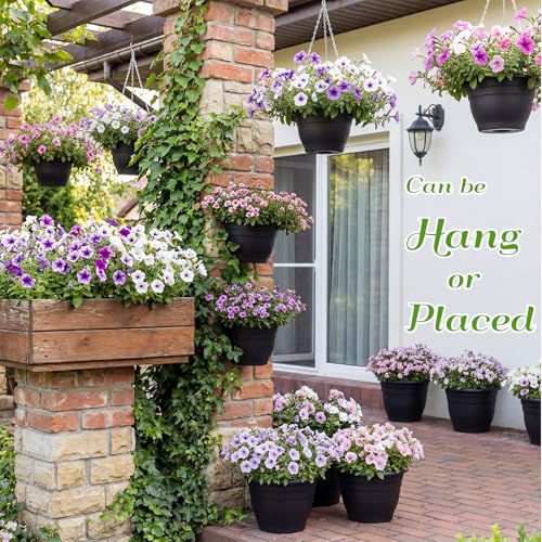 20 Pack Hanging Planter Basket 10 Inch with Drainage Tray - color: Black, size: 10 Inch