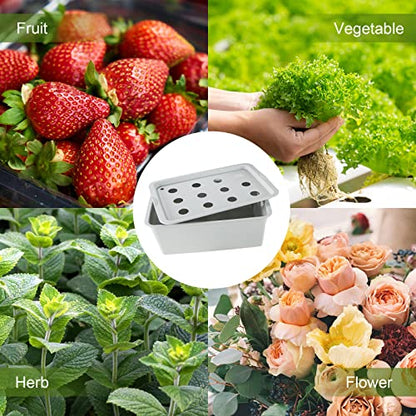 MAOPINER Indoor Hydroponic Grow Kit 12 Sites Deep Water Culture System