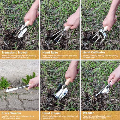 Weed Puller Tool, 6 Piece Stainless Steel Heavy Duty Weeding Tool, Weed Puller, Crack Weeder Tool, Weed Remover Tool with Ergonomic Wooden Handle, Gardening Gifts for Women - style: 6 Pieces