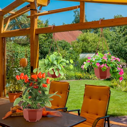Roshtia 24 Pcs Hanging Planter Pot with Hook, Brown, 6 Inch - color: Brown, size: 6 Inch