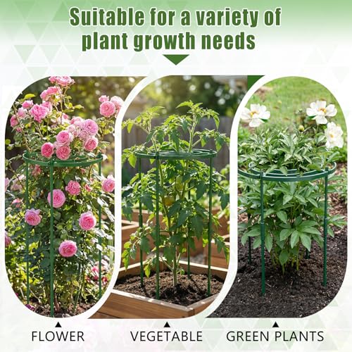 MJZ 8 Pack Peony Cages and Supports, 11.8" D x 25" H Plastic Plant Supports - color: Green-Plastic-8PC