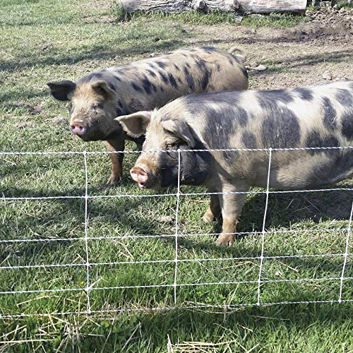 Premier 1 Pig QuikFence® Electric Fence for Pigs – 30"H x 100'L