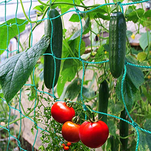 Trellis Netting for Climbing Plants - Heavy Duty Garden Trellis Netting for Cucumber, Vine, Fruits & Vegetables Tomato Plants Trellis Net, Climbing Vining Plants (1-Pack 3.3' x 6.6'Ft) - size: 3.3' x 6.6'Ft