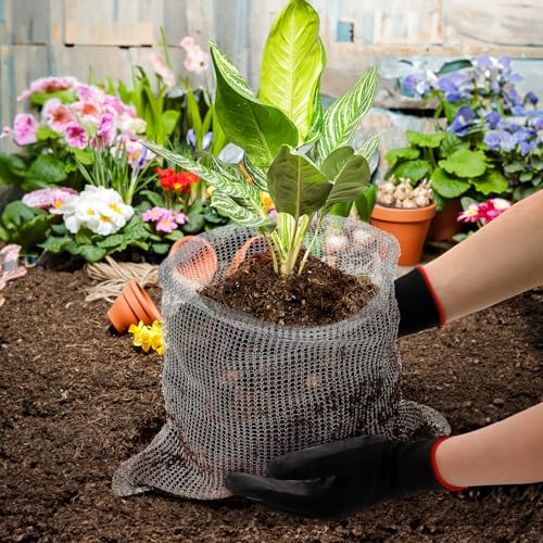 Noamus 8 Pack Plant Root Guard Basket, 5 Gallon Gopher Mole Vole Mesh, Reusable Stainless Steel Plant Speed Wire, Heavy Duty Protector Animal Cages for Garden Trees Bulbs Flowers Vegetables Protection - size: 5 Gallon