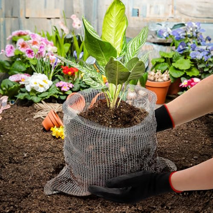 Noamus 8 Pack Plant Root Guard Basket, 5 Gallon Gopher Mole Vole Mesh, Reusable Stainless Steel Plant Speed Wire, Heavy Duty Protector Animal Cages for Garden Trees Bulbs Flowers Vegetables Protection - size: 5 Gallon