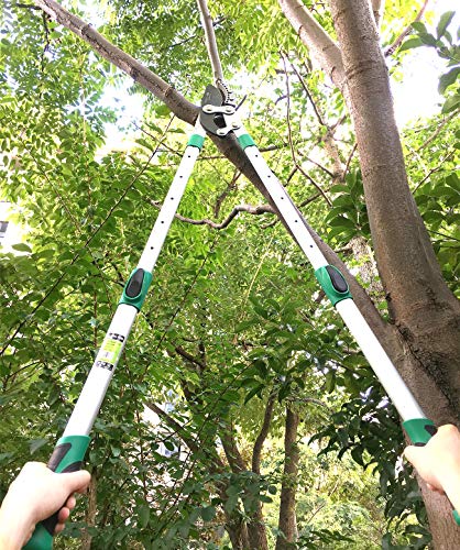 Heavy Duty Anvil Lopping Shears -2 inch Cutting Capacity Bypass Lopper - Extendable 26 Inch to 41 Inch,Professional Tree Branch Cutter