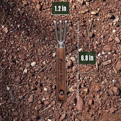 Mini Hand Cultivator Garden Tool 3 Claws - Heavy Duty Japanese Steel with Wood Handle - Small Rake Tiller for Aerating Soil, Digging, and Weeding - Made in Japan - color: Brown Cultivator (Mini)