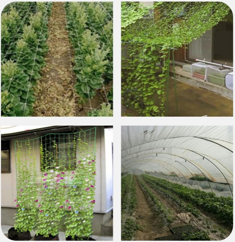 6 x 160FT Trellis Netting, Heavy-Duty Polyester Plant Trellis Netting, Square Mesh Net for Climbing Plant, Fruits, Vegetables, Vines, Grow Tents (3Pack, White)