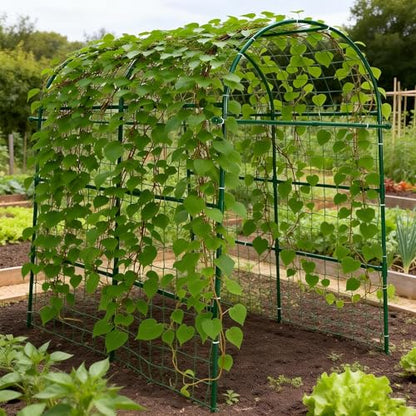 Garden Arch Trellis for Climbing Plants Outdoor - 83" H*71" W*43" L (Green) - size: 71"×44"×83"-G