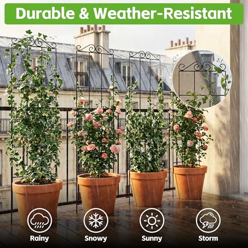 ARIFARO 4Pack 57.5'' Metal Garden Trellis for Climbing Plants Outdoor - size: 57.5 inches