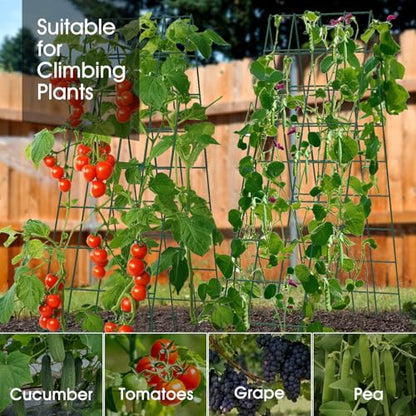 RIFNY Cucumber Trellis for Raised Bed, Garden Trellis 16.5 x 60 Inch, Green - color: Green, size: 16.5 x 60 Inch