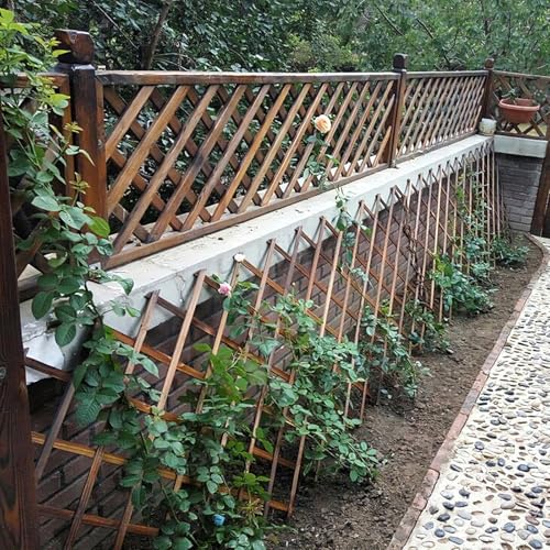 Expandable Garden Trellis, 38"x89" Trellis for Climbing Plants Outdoor 1Pcs - size: 38" x 89" 1 Pack