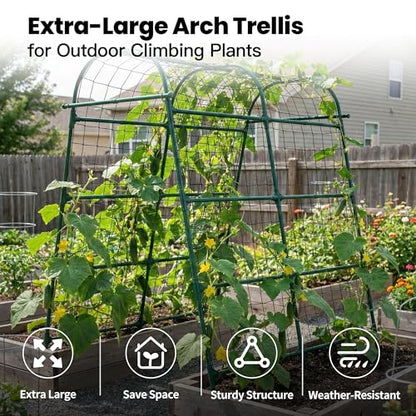Garden Arch Trellis for Climbing Plants Outdoor, 7 Ft Tall Cucumber Trellis - size: 63"L x 50"W x 84"H - Arch Trellis