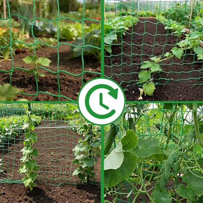 6.6x32.8FT Trellis Netting for Climbing Plants,Trellis Netting with Plant Clips, Heavy-Duty PE Trellis Net for Cucumber, Tomato, Vegetables, Fruits, Sweet Pea Plants - size: 6.6x32.8FT