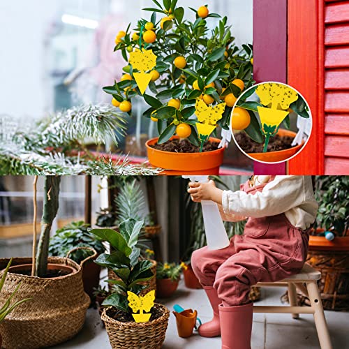 Yellow Sticky Traps 60 Pk, Fruit Fly & Fungus Gnat Traps Indoor Outdoor Use - size: 60 Packs