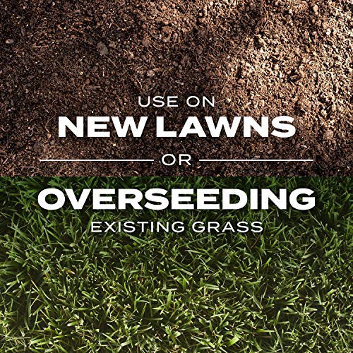 Scotts Turf Builder Rapid Grass Tall Fescue Mix, 5.6 lbs.