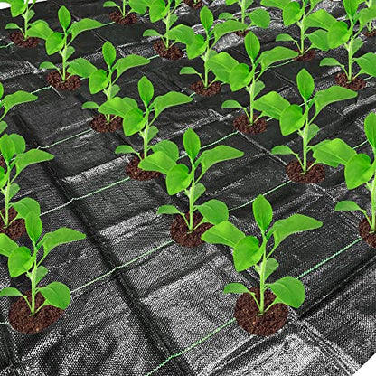 codree 26 x 6.5 Ft Garden Weed Barrier Landscape Fabric with Planting Holes- Heavy-Duty Garden Weed Control Barrier- Weed Block Gardening Mat with 10 Ground Nail for Outdoor Garden - color: 6.5x26ft