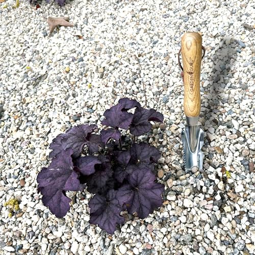 Garden Guru Hand Weeder Trowel with Ergonomic Handle – Stainless Steel Weeding & Digging Knife – Rust Resistant - Perfect for Weeding, Transplanting, Digging, Pruning, Cutting - 1 Case (50 Pcs) - size: 50 Pack