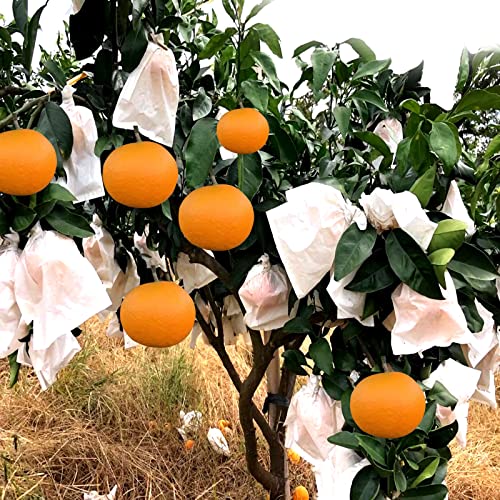 Fruit Protection Paper Bags - 100pcs White Protection Covers 6.2x7.7inch, Orchard, Frost, Plants (16x20) - size: 16x20 cm