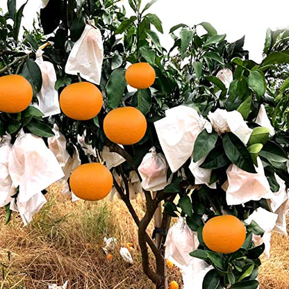 Fruit Protection Paper Bags - 100pcs White Protection Covers 6.2x7.7inch, Orchard, Frost, Plants (16x20) - size: 16x20 cm