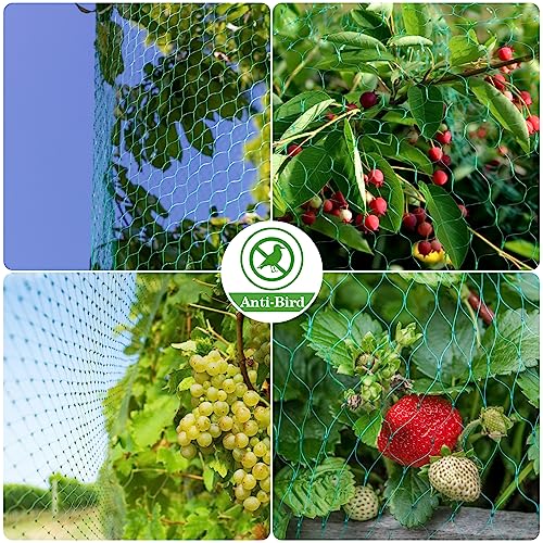 Sukh Bird Netting for Garden 13x33ft - Mesh Net for Garden Protection