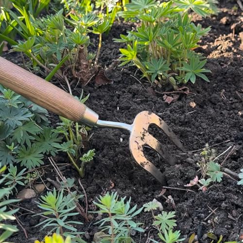 Spear & Jackson Stainless Steel Hand Weed Fork, Durable Gardening Tool for Efficient Weeding and Soil Aeration